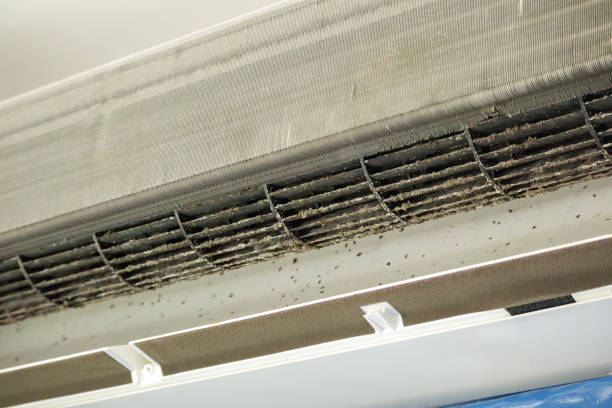 Best General Air Duct Cleaning  in Floris, VA